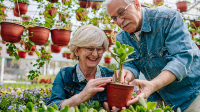 senior citizens gardening