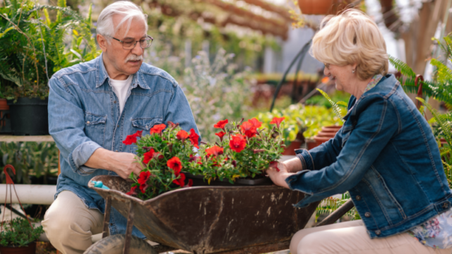 Senior citizens gardening in community 